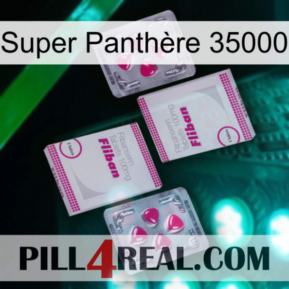 Super Panthère 35000 33